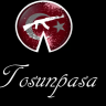 ToSuNPaSa94